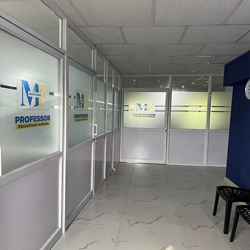 MF Professor Institute